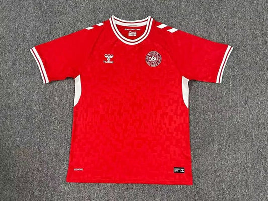 2024 Denmark Home Fan Version